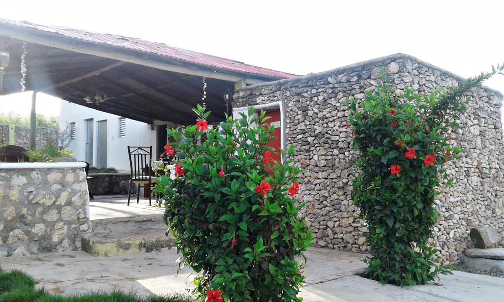 Villa Alfonsina Punta Rucia Dış mekan fotoğraf